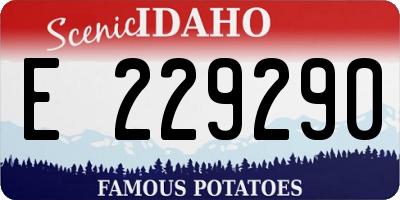 ID license plate E229290