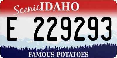 ID license plate E229293