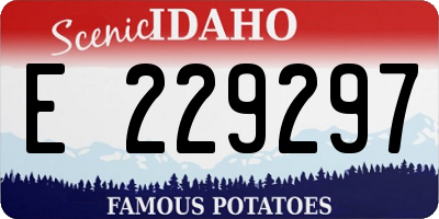 ID license plate E229297