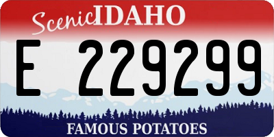 ID license plate E229299