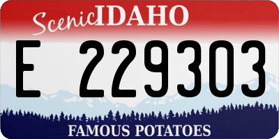 ID license plate E229303