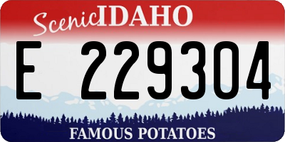 ID license plate E229304
