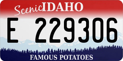 ID license plate E229306