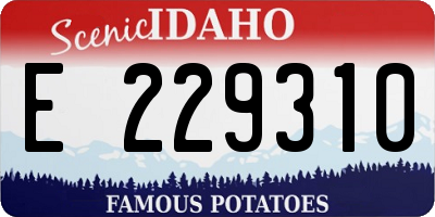 ID license plate E229310