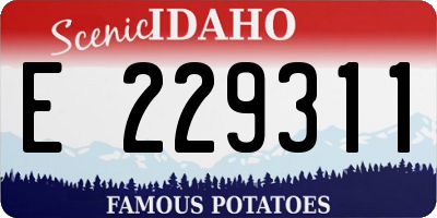 ID license plate E229311