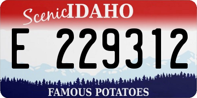 ID license plate E229312