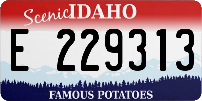 ID license plate E229313