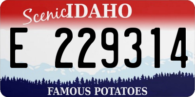 ID license plate E229314