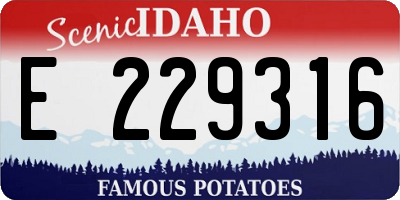 ID license plate E229316