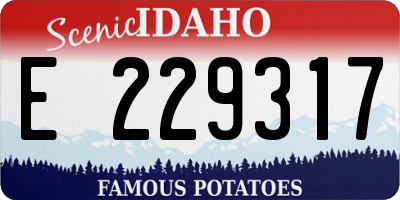 ID license plate E229317