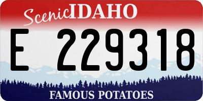 ID license plate E229318