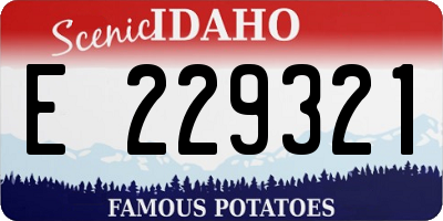 ID license plate E229321