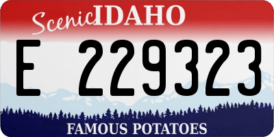 ID license plate E229323