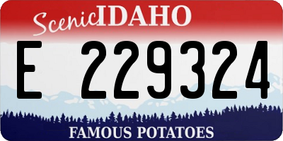 ID license plate E229324
