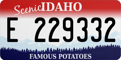 ID license plate E229332