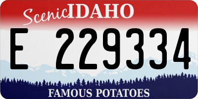 ID license plate E229334