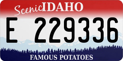 ID license plate E229336