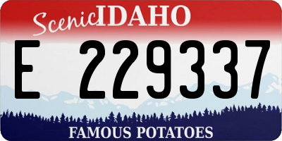 ID license plate E229337