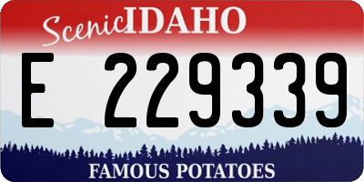 ID license plate E229339