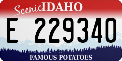 ID license plate E229340