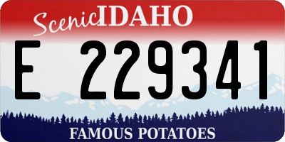 ID license plate E229341