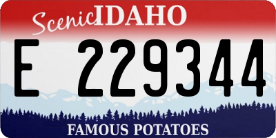 ID license plate E229344