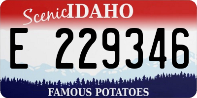 ID license plate E229346