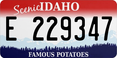 ID license plate E229347