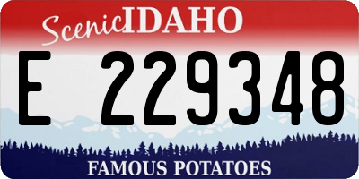 ID license plate E229348