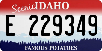 ID license plate E229349