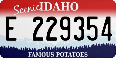 ID license plate E229354