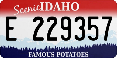 ID license plate E229357