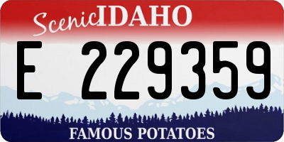 ID license plate E229359
