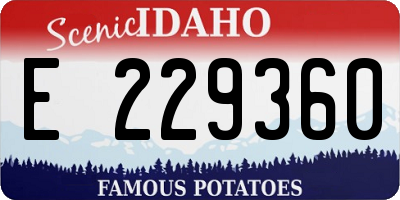 ID license plate E229360