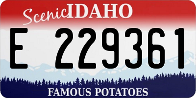 ID license plate E229361