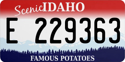 ID license plate E229363