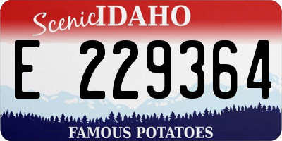 ID license plate E229364