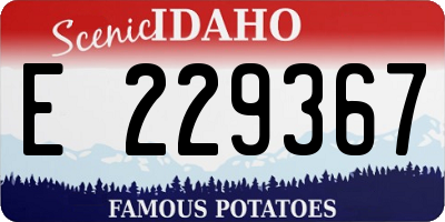 ID license plate E229367