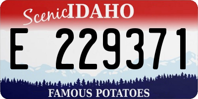 ID license plate E229371
