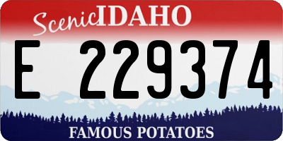 ID license plate E229374
