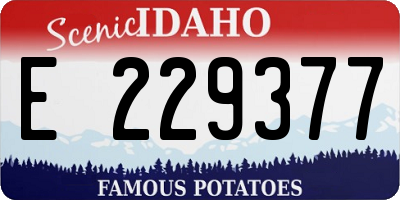 ID license plate E229377