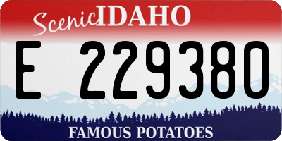 ID license plate E229380