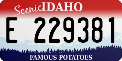 ID license plate E229381