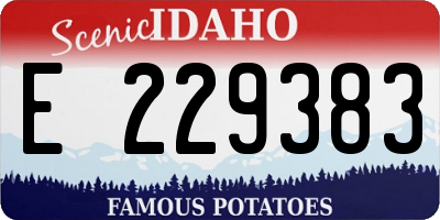 ID license plate E229383
