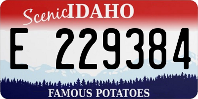 ID license plate E229384