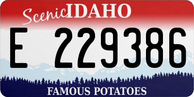 ID license plate E229386