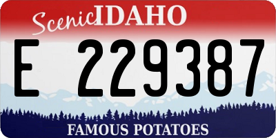ID license plate E229387