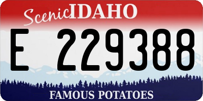 ID license plate E229388