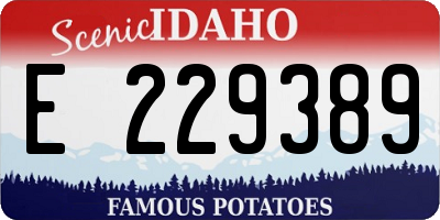 ID license plate E229389