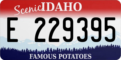 ID license plate E229395